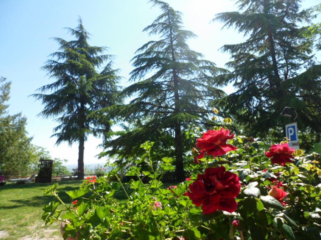 Agriturismo La Quiete Roncofreddo エクステリア 写真